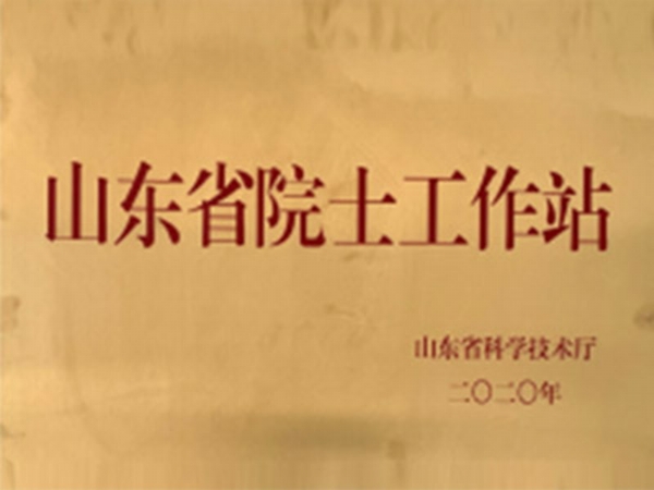 潍坊东大电子材料——院士工作站